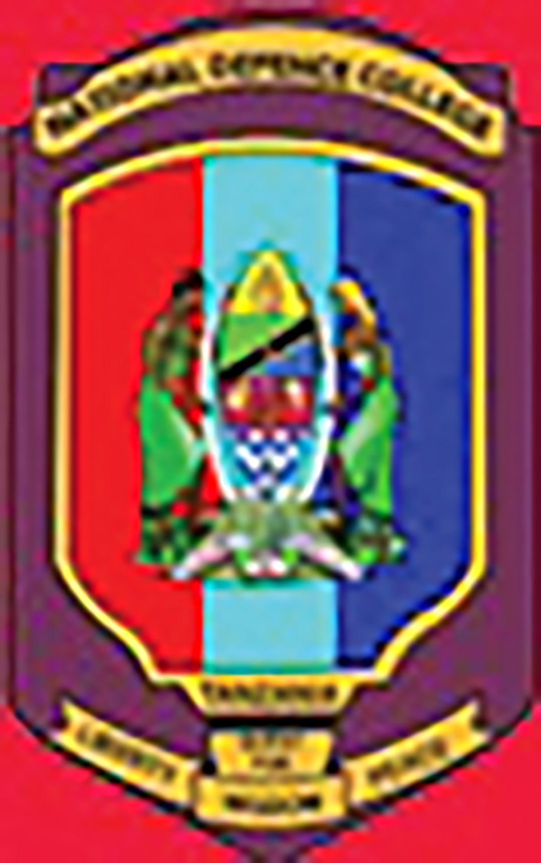 National Defense College of Tanzania